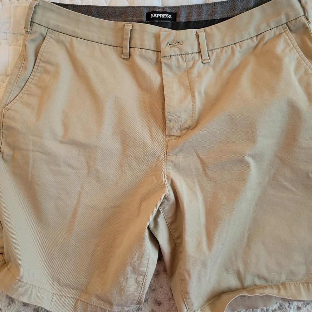 Express men's chino shorts 10 inch
